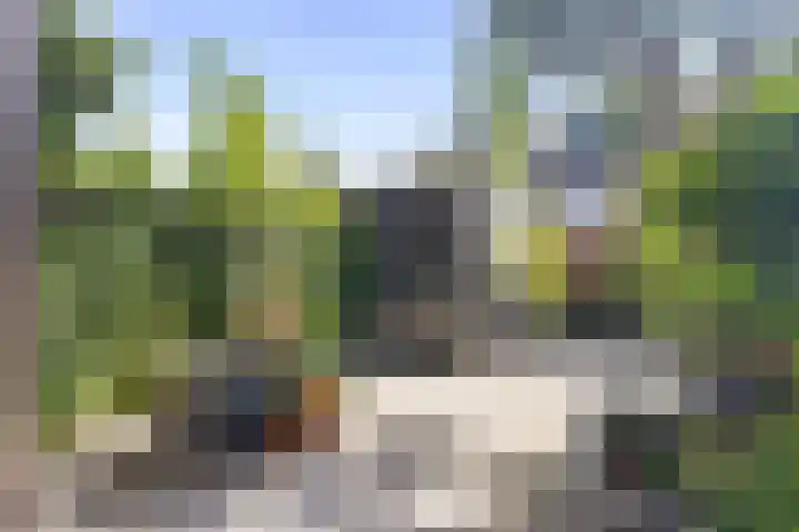 Notenhout 25 B Julianadorp thumbnail 15
