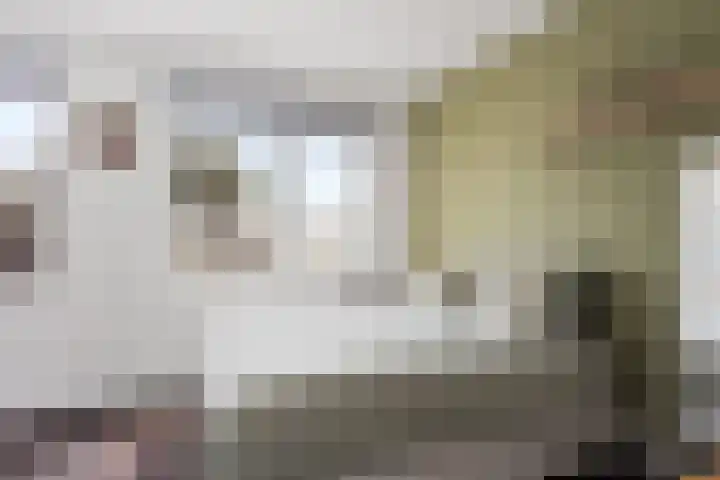 Notenhout 25 B Julianadorp thumbnail 16