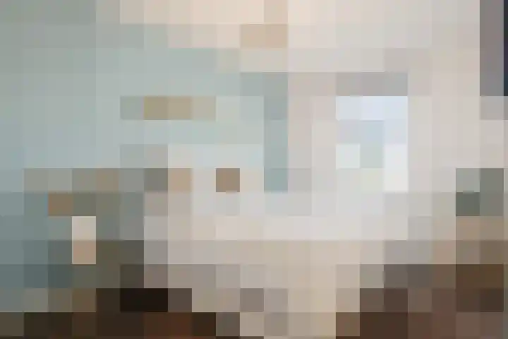 Notenhout 25 B Julianadorp thumbnail 19