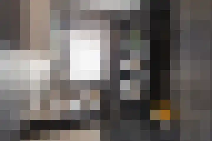 Notenhout 25 B Julianadorp thumbnail 21