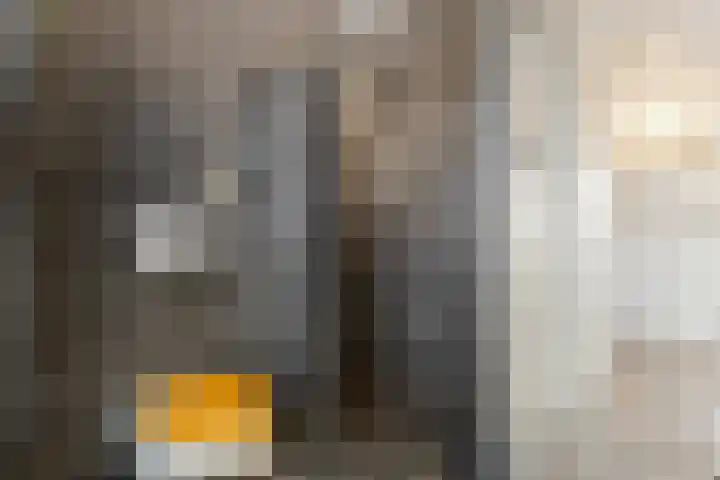 Notenhout 25 B Julianadorp thumbnail 22
