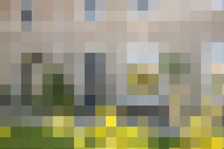 Notenhout 25 B Julianadorp thumbnail 26