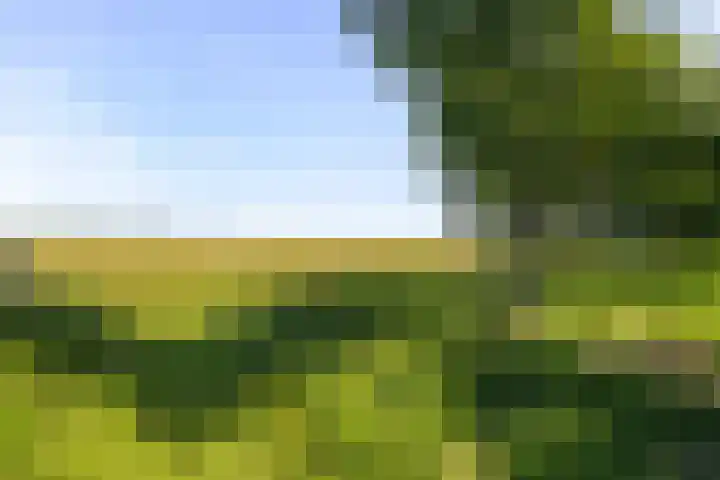 Notenhout 25 B Julianadorp thumbnail 27