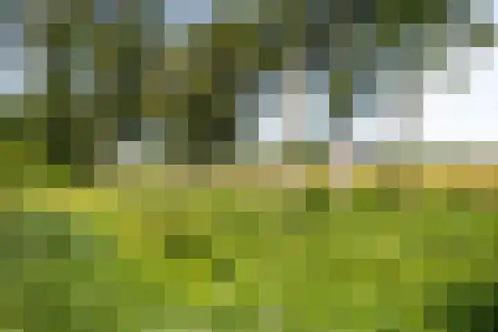 Notenhout 25 B Julianadorp thumbnail 28