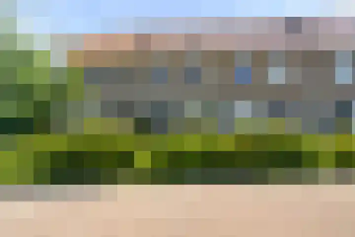 Notenhout 25 B Julianadorp thumbnail 33