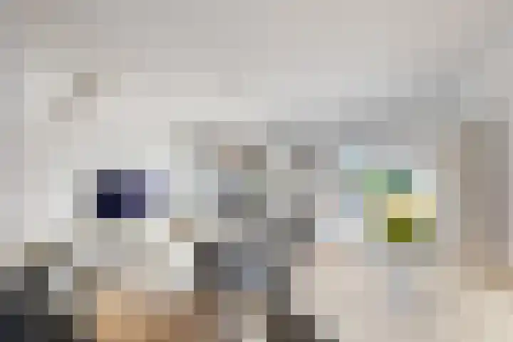 Notenhout 25 B Julianadorp thumbnail 4