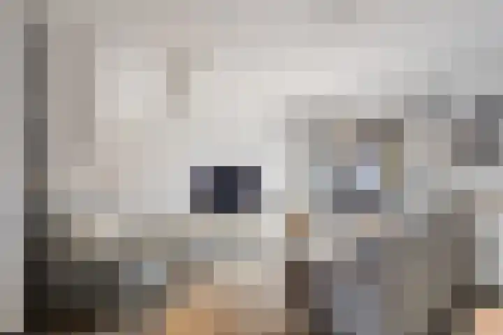 Notenhout 25 B Julianadorp thumbnail 5