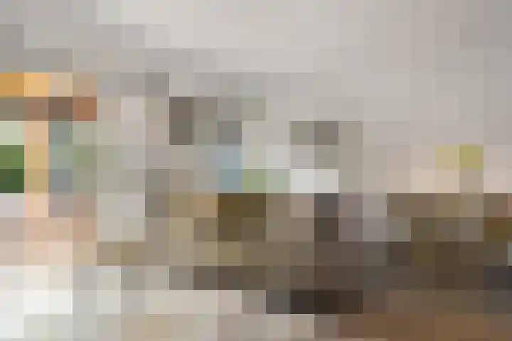 Notenhout 25 B Julianadorp thumbnail 6