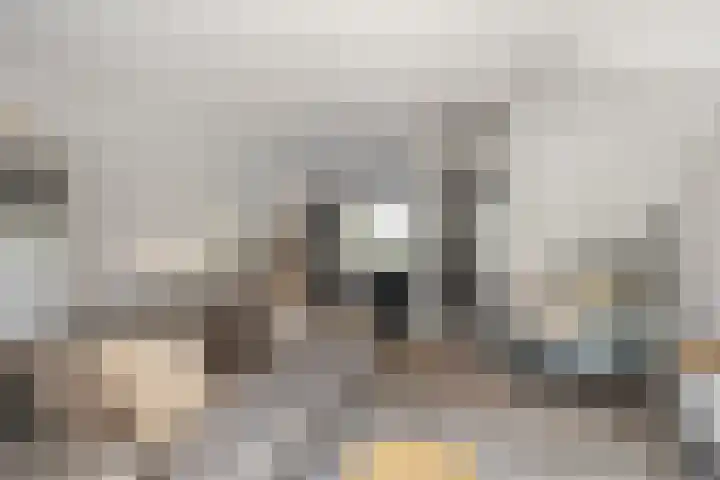 Notenhout 25 B Julianadorp thumbnail 7