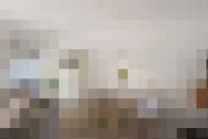 Notenhout 25 B Julianadorp thumbnail 8