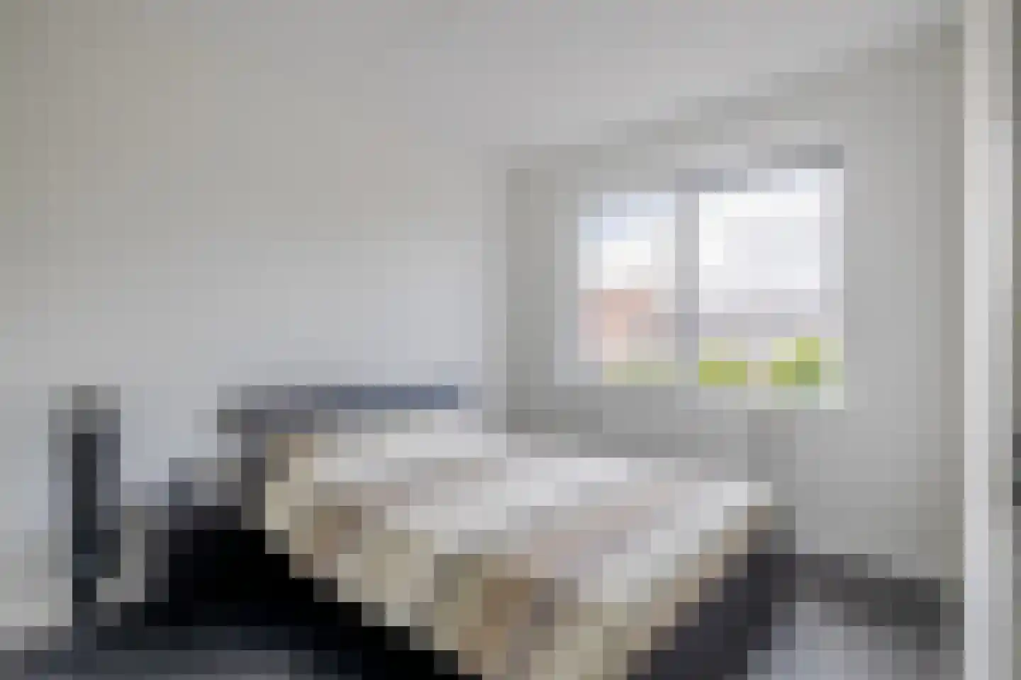 Notenhout 35 Julianadorp thumbnail 14