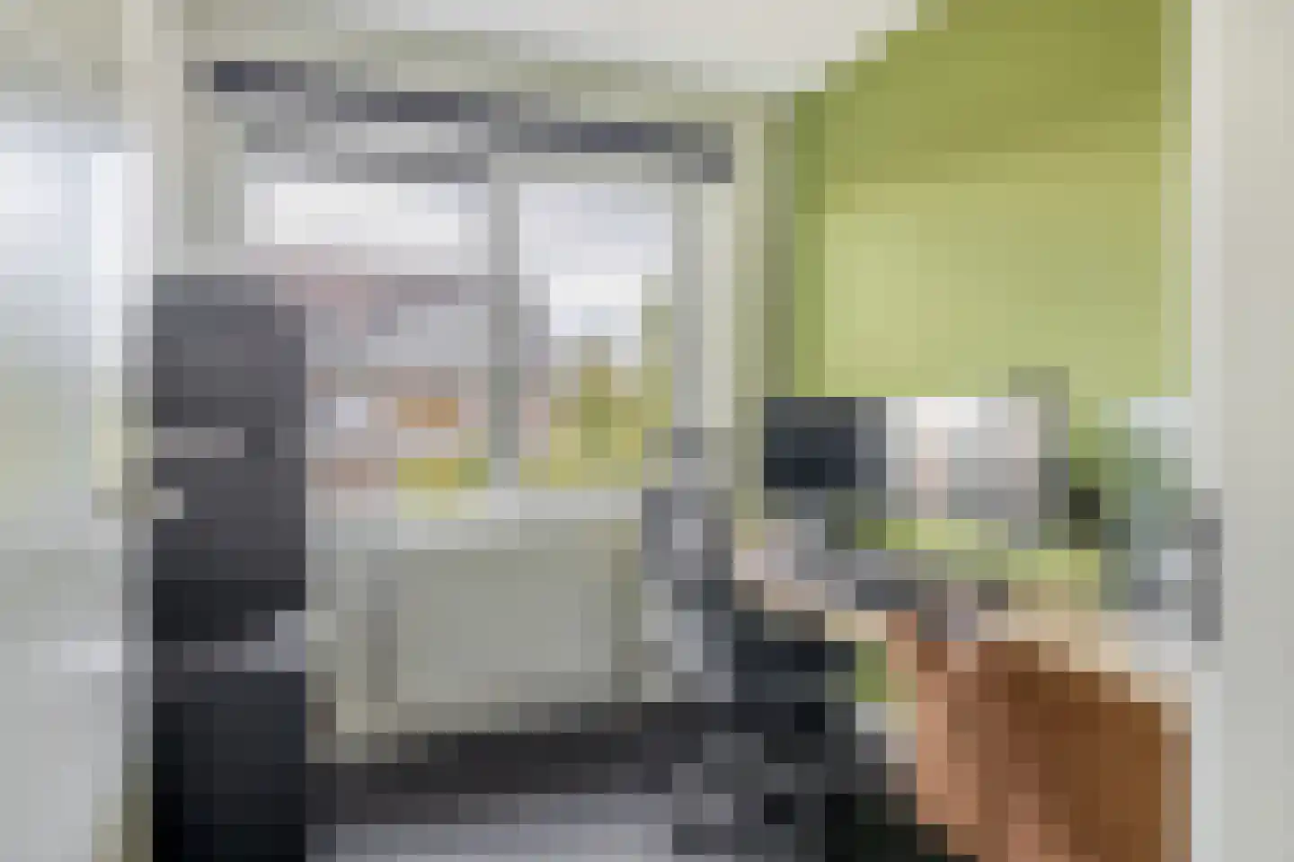 Notenhout 35 Julianadorp thumbnail 16