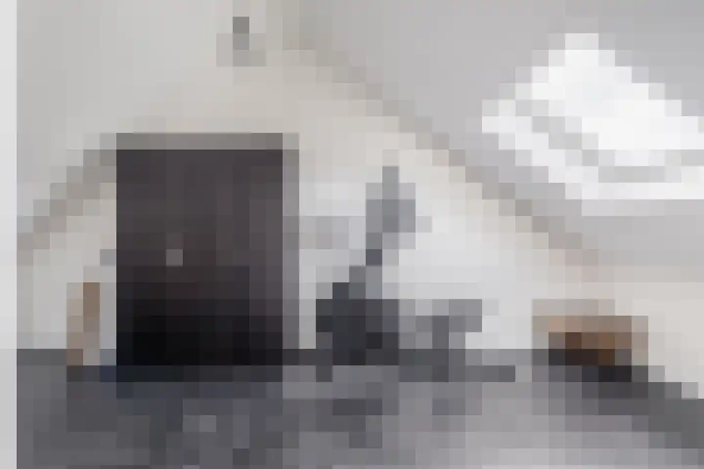 Notenhout 35 Julianadorp thumbnail 18
