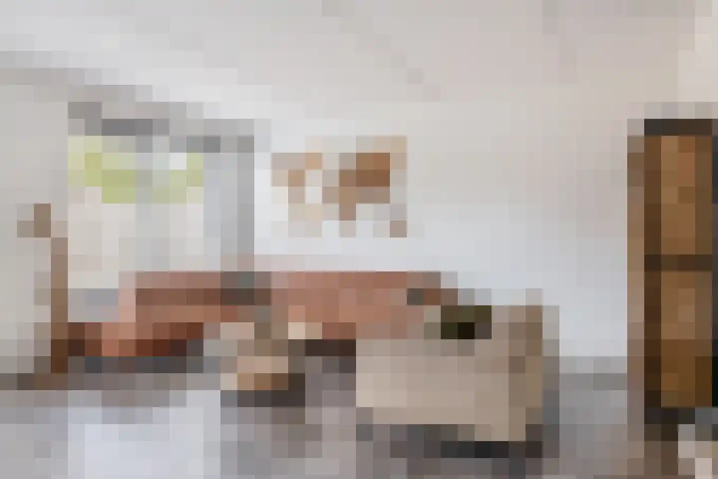 Notenhout 35 Julianadorp thumbnail 4