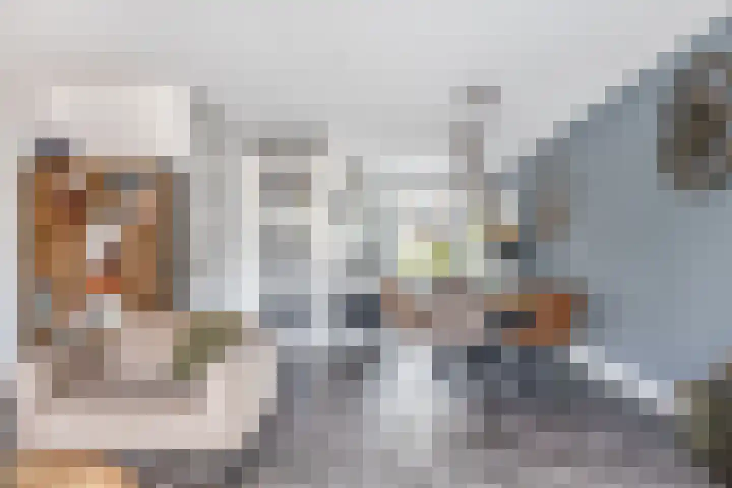 Notenhout 35 Julianadorp thumbnail 5