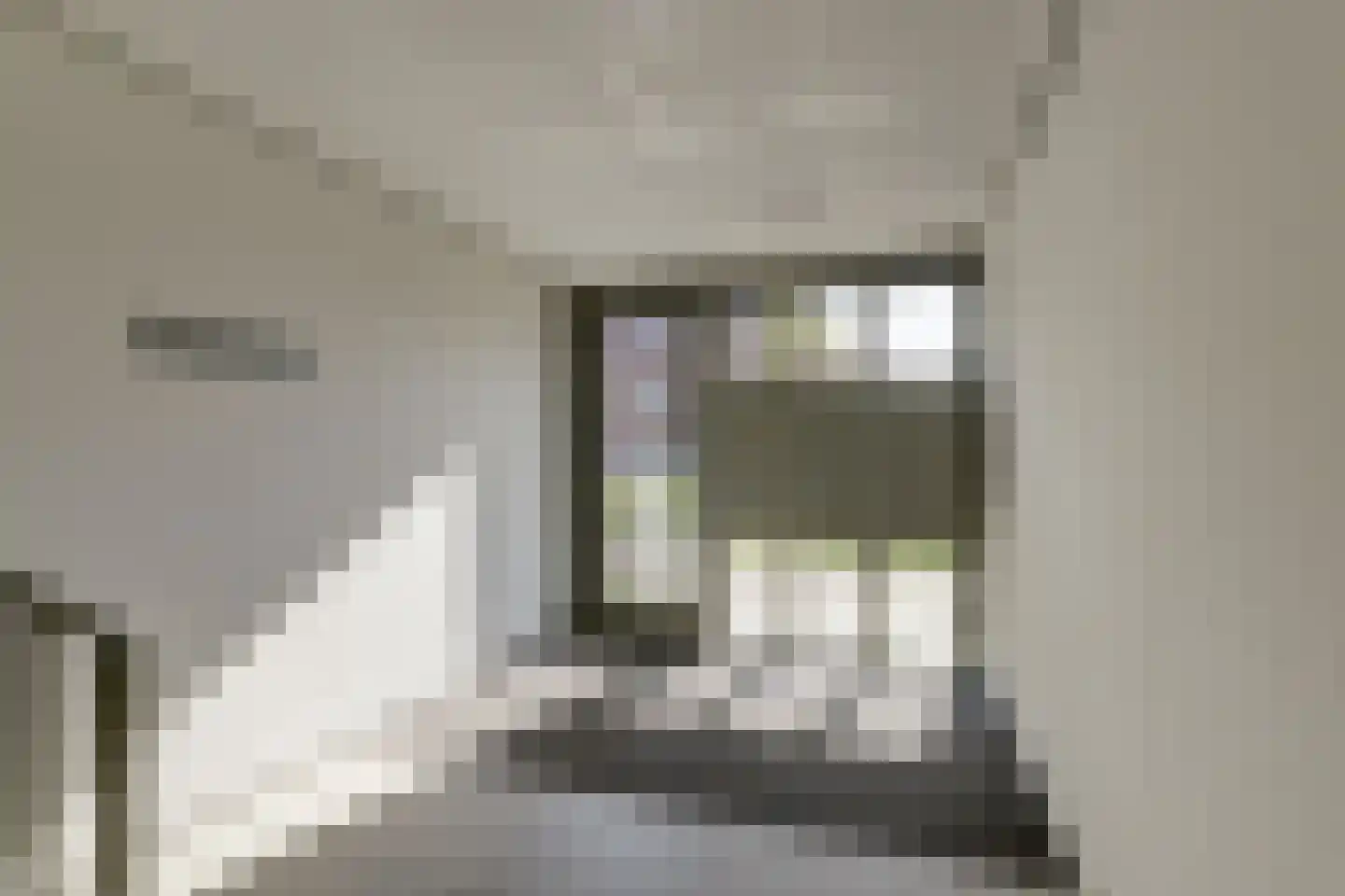 Notenhout 40 Waddinxveen thumbnail 26