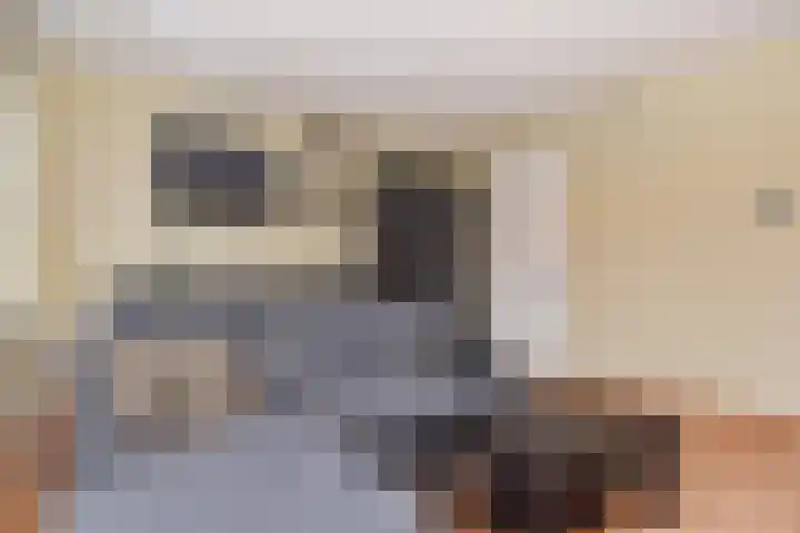 Notenhout 42 Waddinxveen thumbnail 11