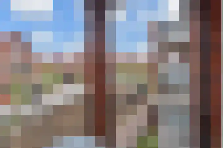Notenhout 42 Waddinxveen thumbnail 20