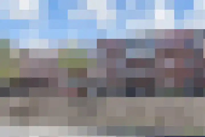 Notenhout 42 Waddinxveen thumbnail 25