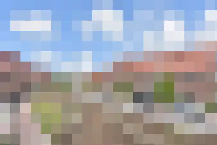Notenhout 42 Waddinxveen thumbnail 27