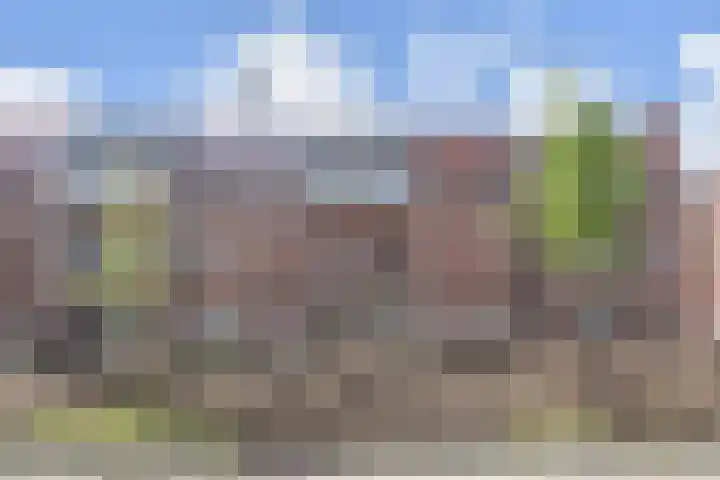 Notenhout 42 Waddinxveen thumbnail 5