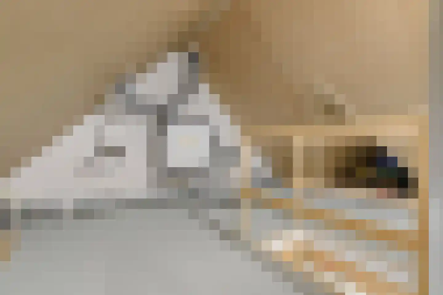 Notenhout 47 Waddinxveen thumbnail 12