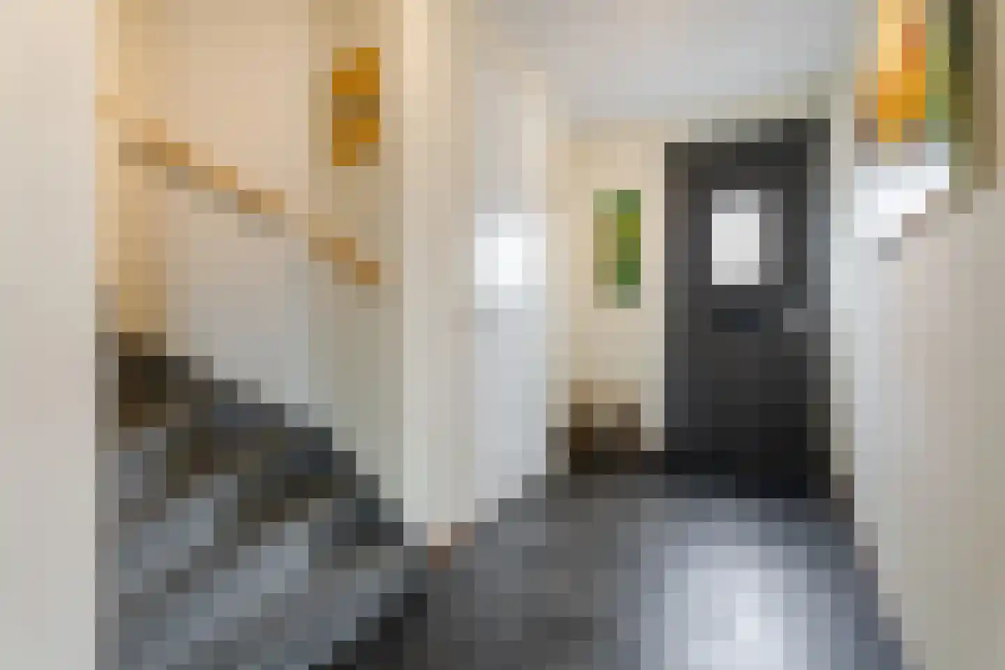 Notenhout 47 Waddinxveen thumbnail 16