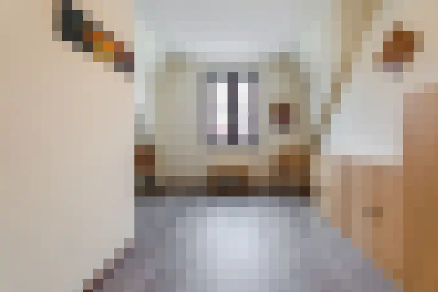 Notenhout 47 Waddinxveen thumbnail 24