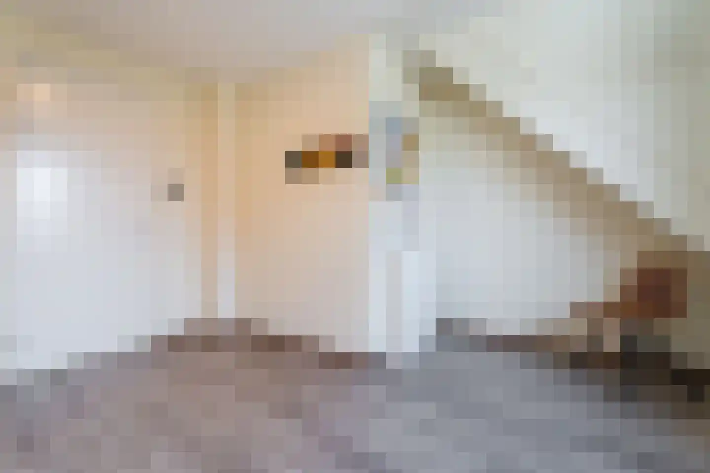 Notenhout 47 Waddinxveen thumbnail 25