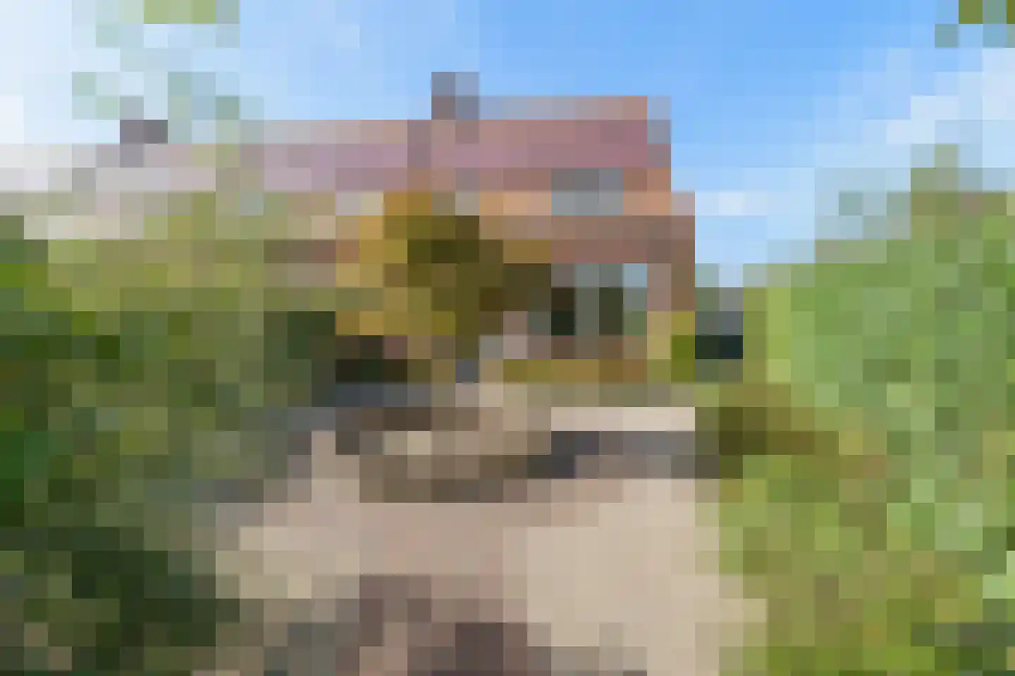 Notenhout 47 Waddinxveen thumbnail 33
