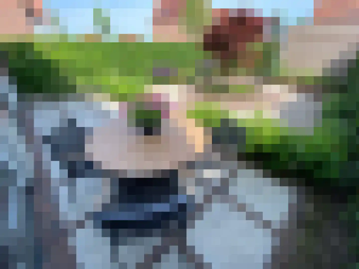 Notenhout 47 Waddinxveen thumbnail 36