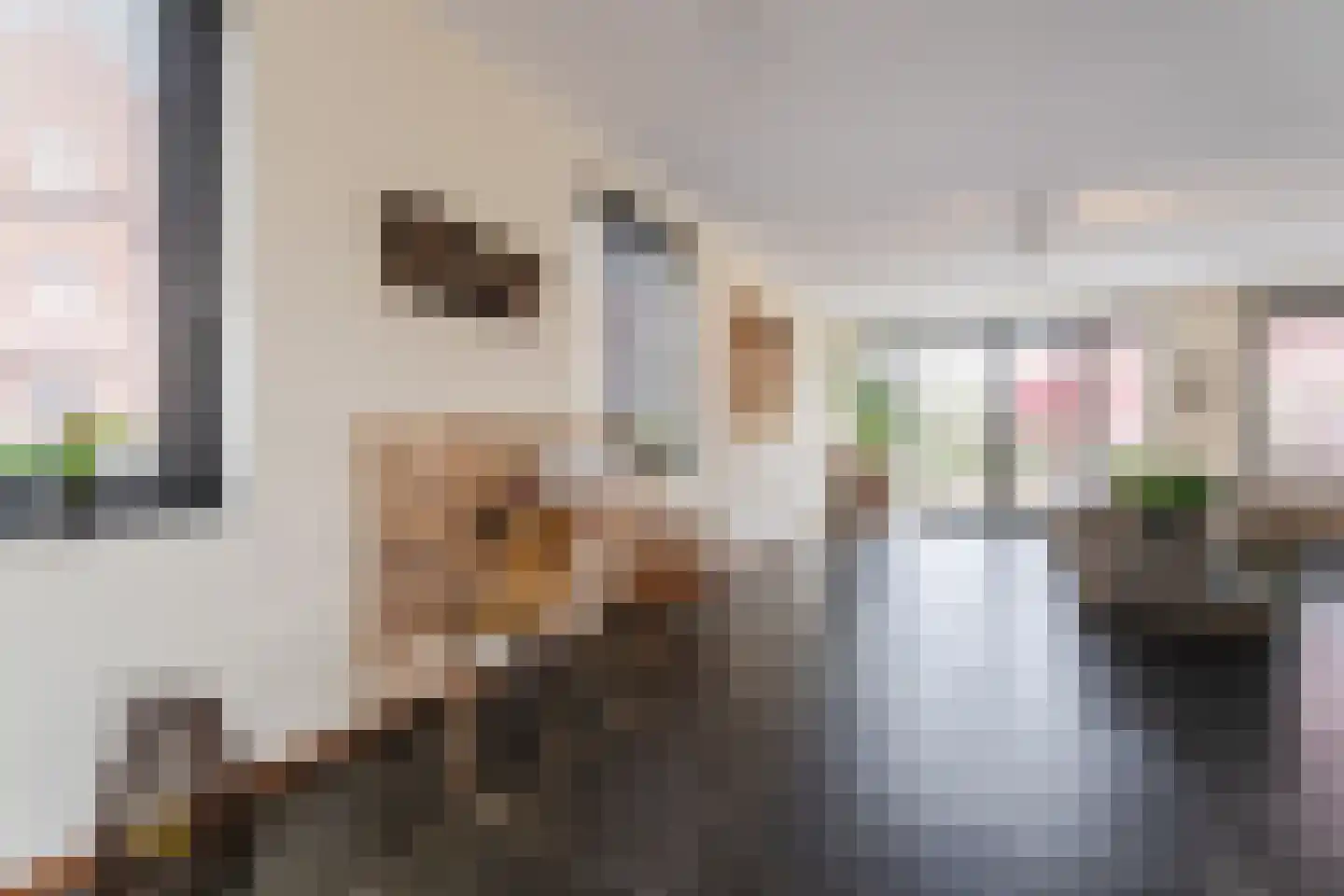 Notenhout 47 Waddinxveen thumbnail 6