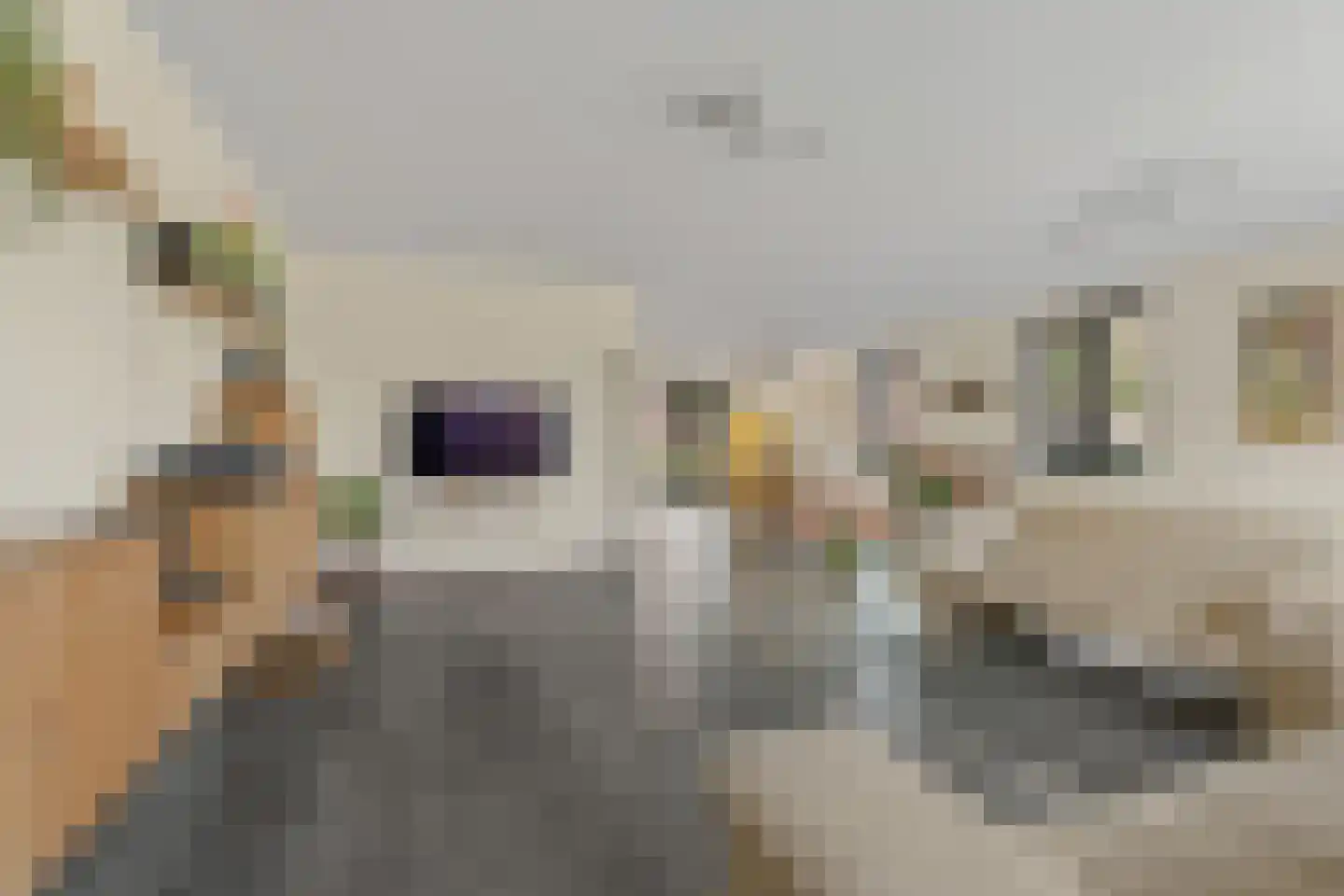 Notenhout 47 Waddinxveen thumbnail 6