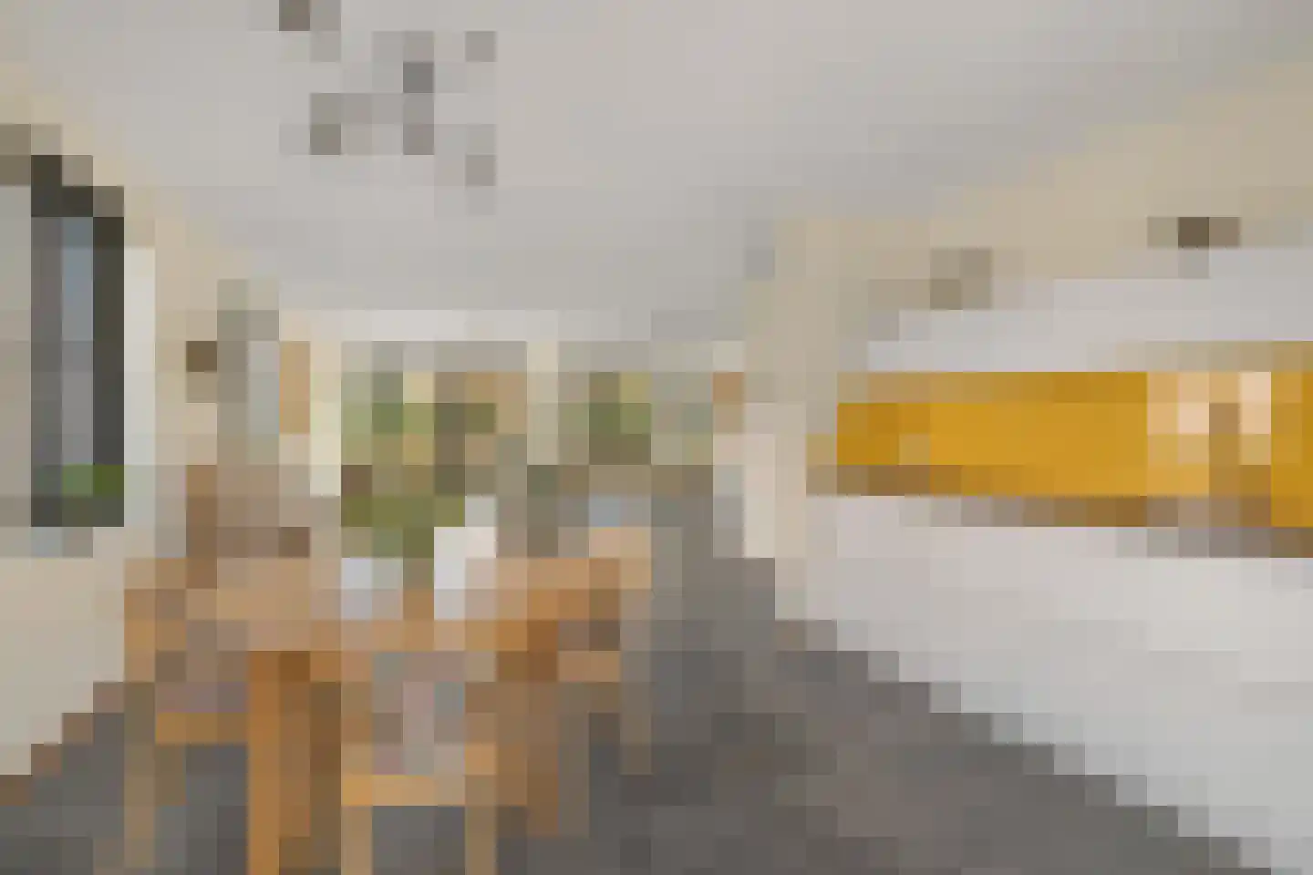 Notenhout 47 Waddinxveen thumbnail 9