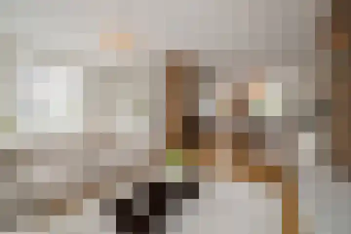 Notenhout 49 B Julianadorp thumbnail 10