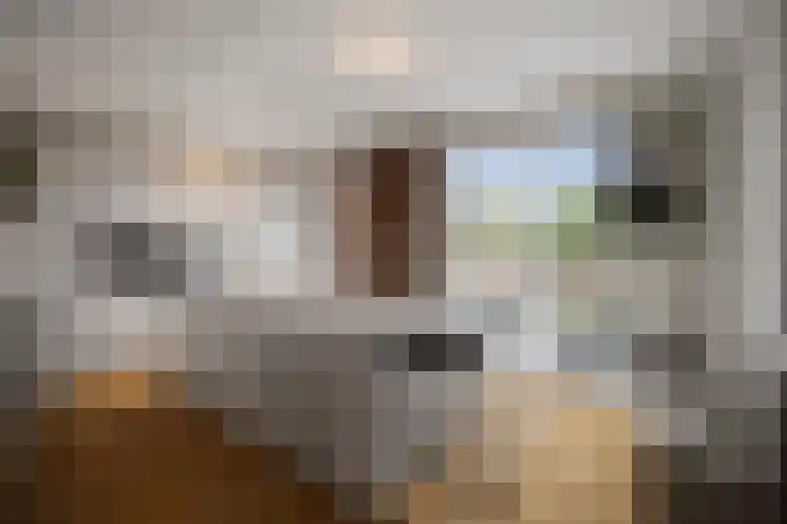 Notenhout 49 B Julianadorp thumbnail 13