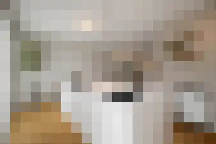 Notenhout 49 B Julianadorp thumbnail 16