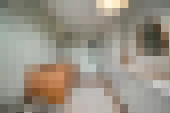 Notenhout 49 B Julianadorp thumbnail 20