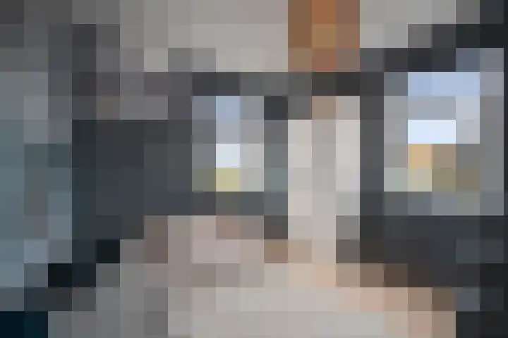 Notenhout 49 B Julianadorp thumbnail 21