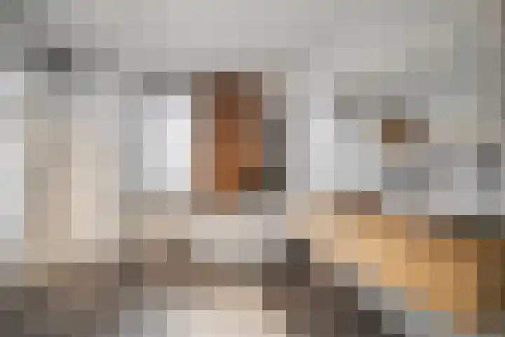 Notenhout 49 B Julianadorp thumbnail 23