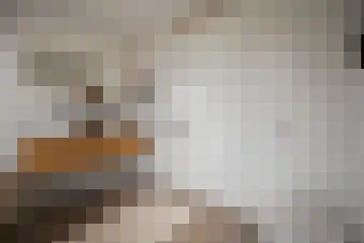Notenhout 49 B Julianadorp thumbnail 25