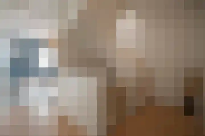 Notenhout 49 B Julianadorp thumbnail 26