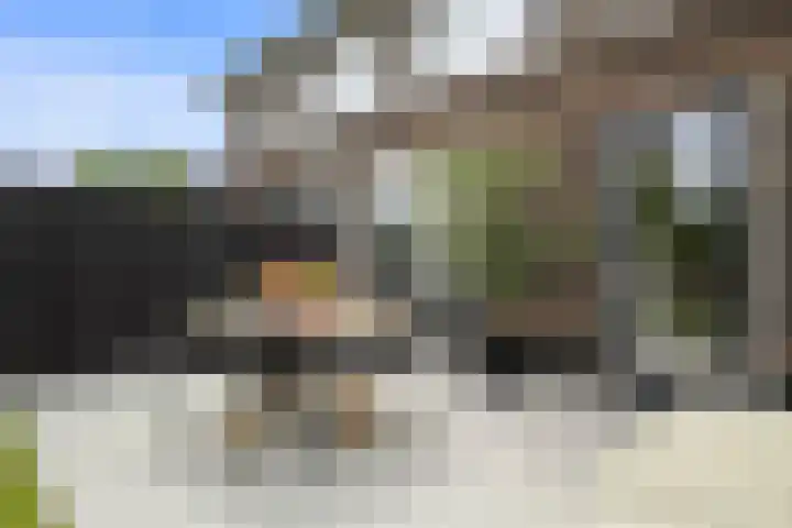 Notenhout 49 B Julianadorp thumbnail 31