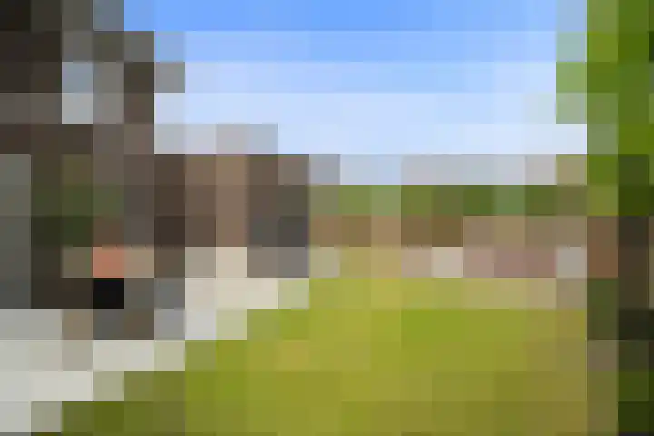 Notenhout 49 B Julianadorp thumbnail 32