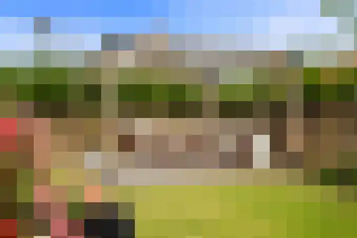 Notenhout 49 B Julianadorp thumbnail 33