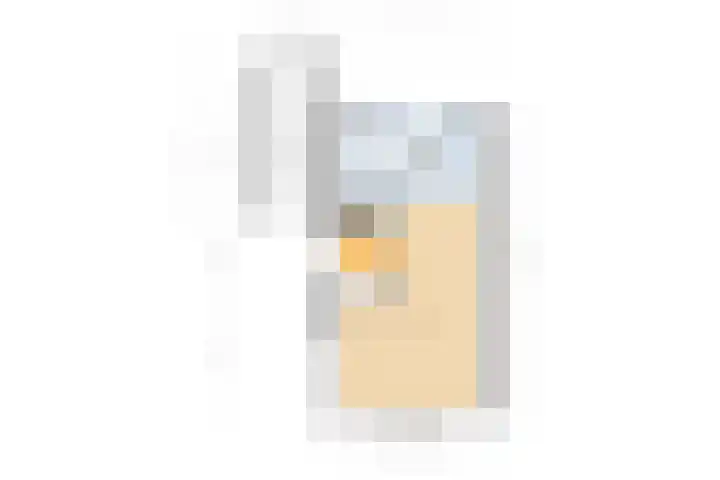 Notenhout 49 B Julianadorp thumbnail 34