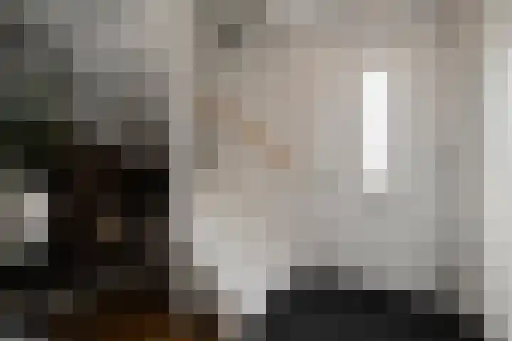 Notenhout 49 B Julianadorp thumbnail 4