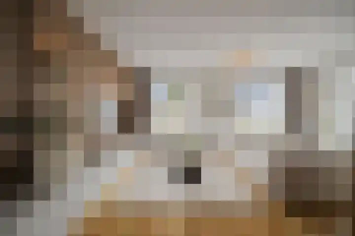Notenhout 49 B Julianadorp thumbnail 5