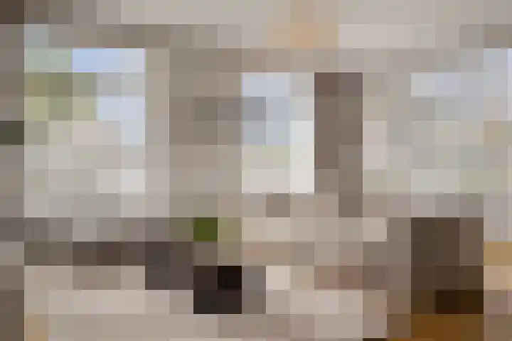 Notenhout 49 B Julianadorp thumbnail 6