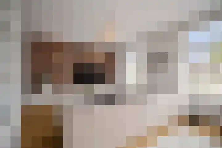 Notenhout 49 B Julianadorp thumbnail 8